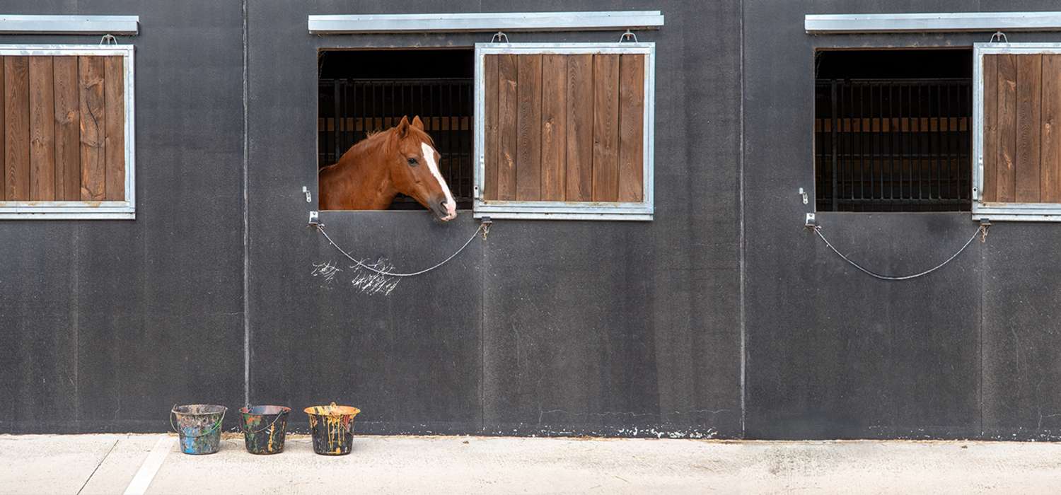 DANS LES TRACES DU CHEVAL