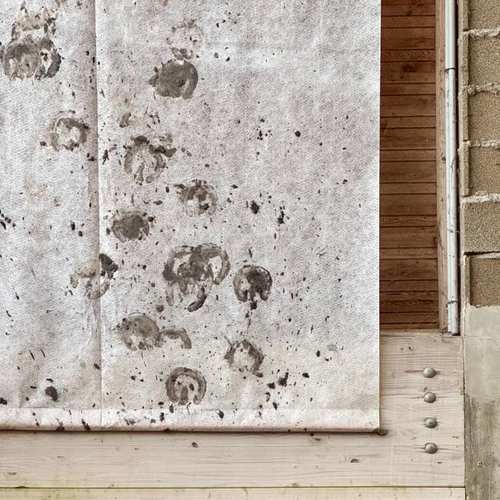 Détail #55