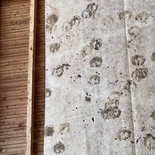 Détail de la toile #57