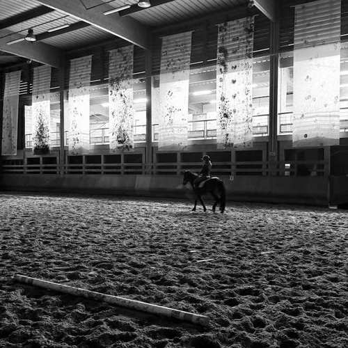 Exposition 