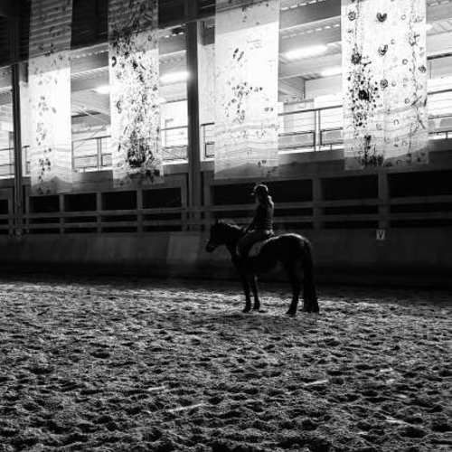 Exposition 