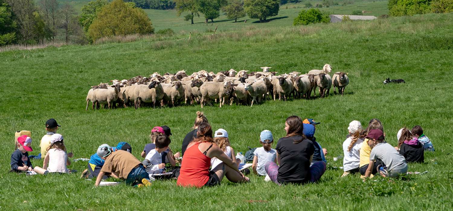 TRANSHUMANCE 2 - 25