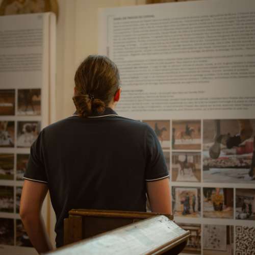 vignette de l'actu La saison estivale du parcours artistique et agricole de Carole Nieder est lancée