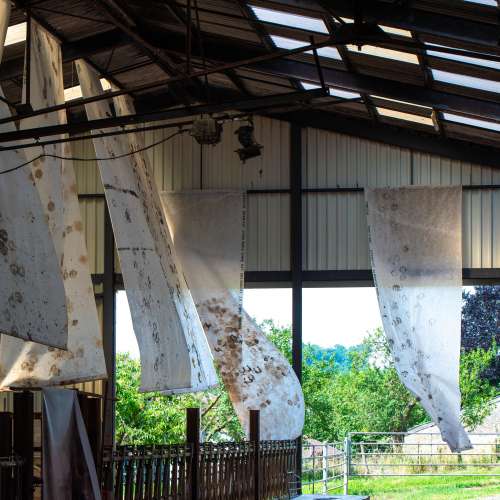vignette de l'actu UNE EXPOSITION À LA FERME DU SART